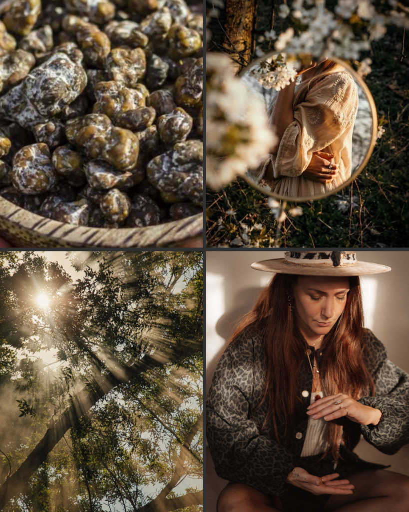 Wat is Microdosing_Bij ILZE